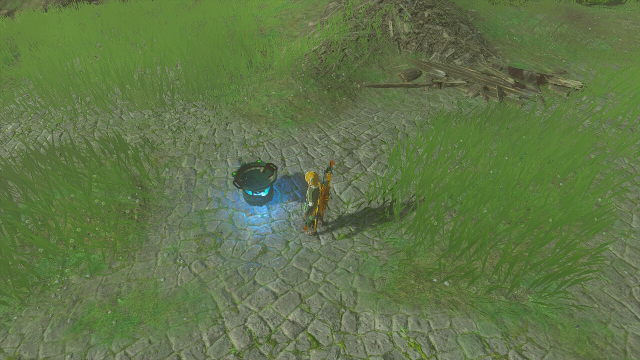 Zelda totk portable pot