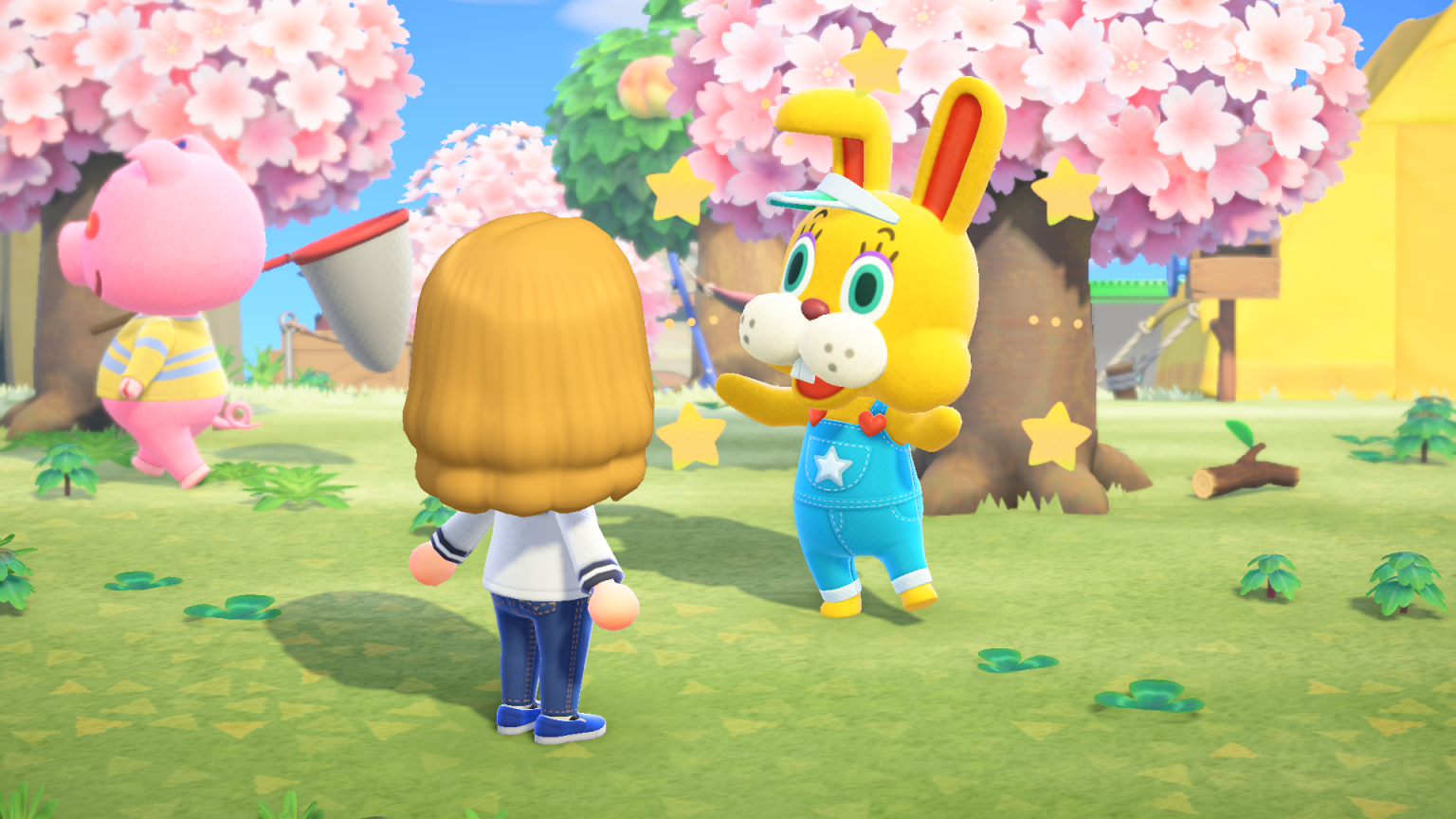 Animal crossing
