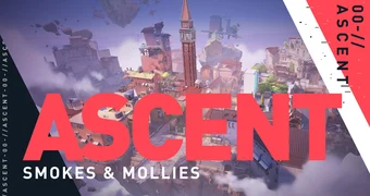 Ascent best smokes mollies 00000