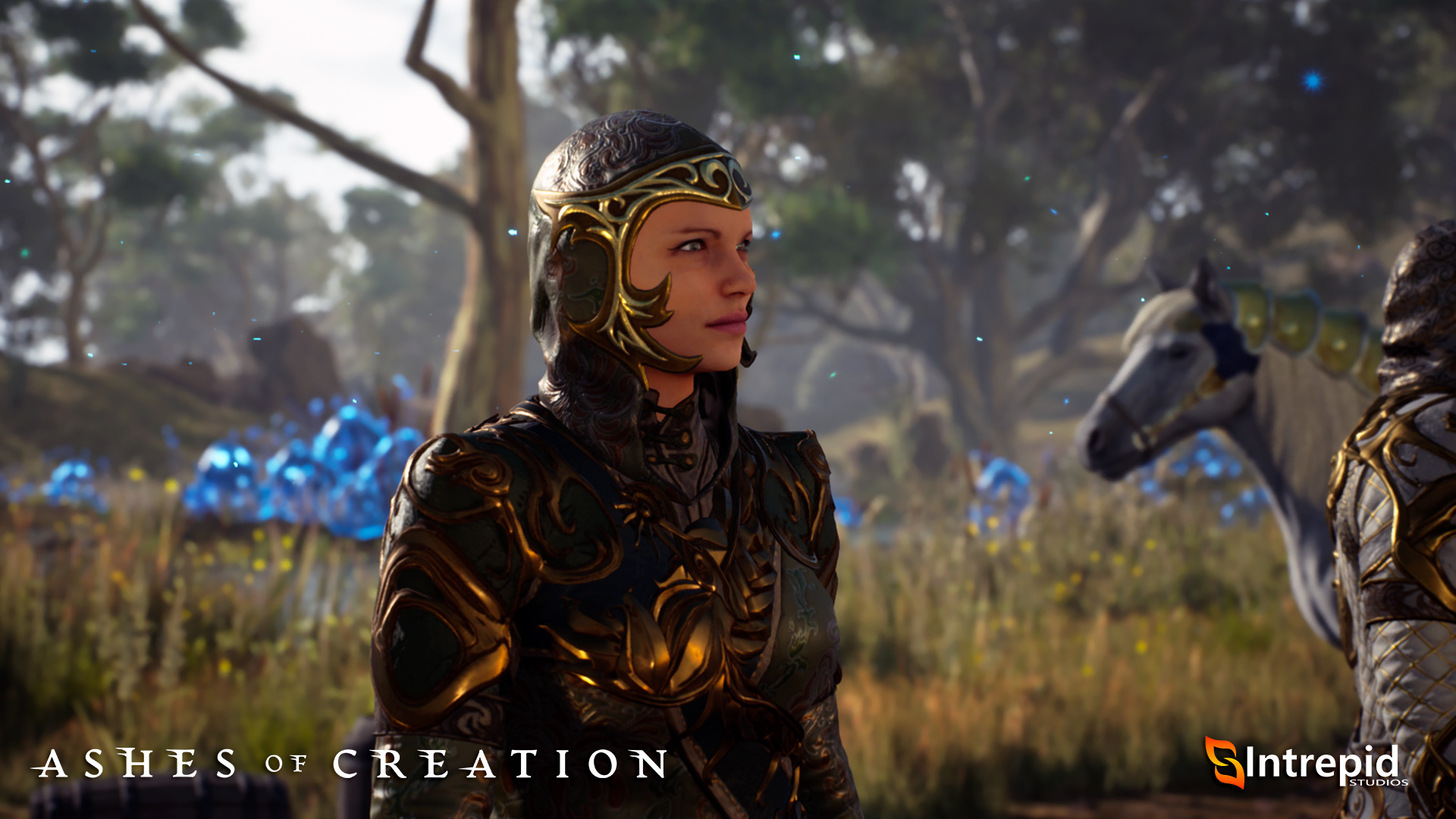 Ashes of ceation Cleric