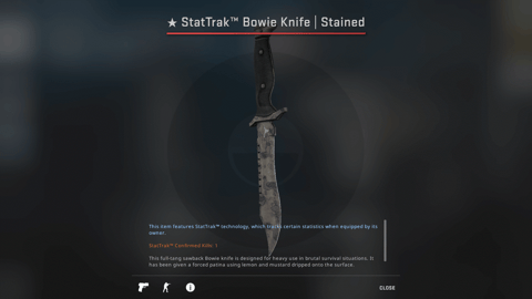 Best cs go knife skins stattrak bowie knife