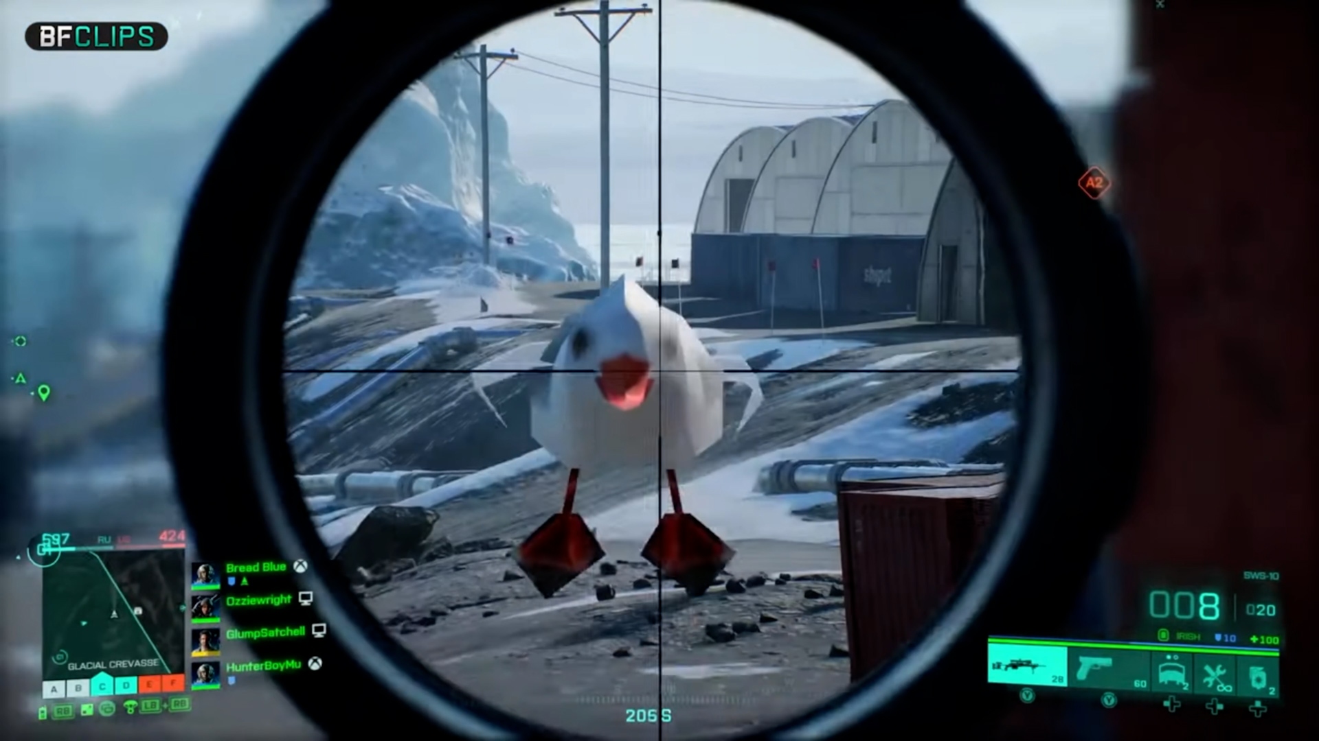 Birdattack