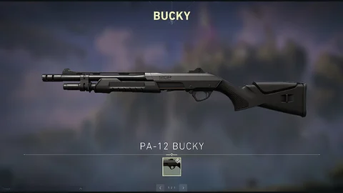 Bucky valorant