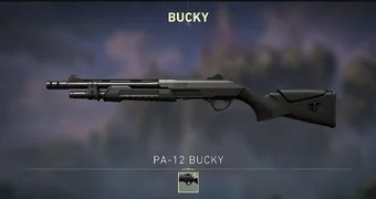 Bucky valorant