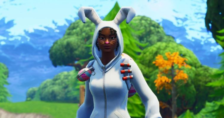 Bunny brawler