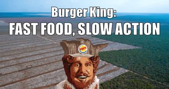 Burger king tweet