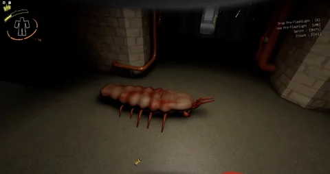 Centipede deadly company