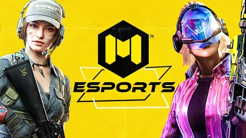 Codm esports