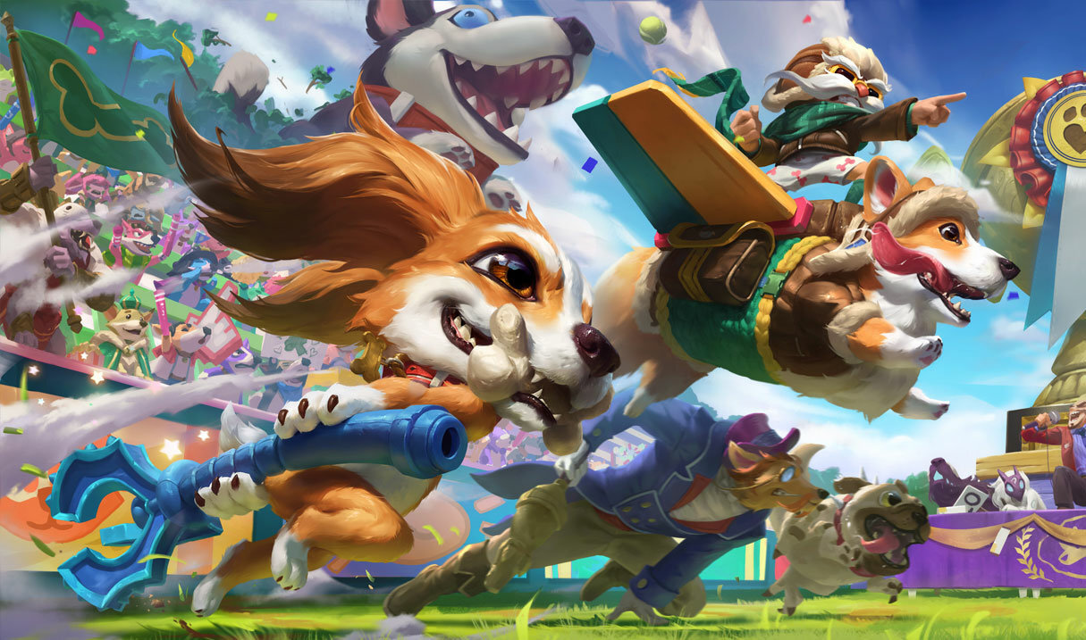 Corgi corki