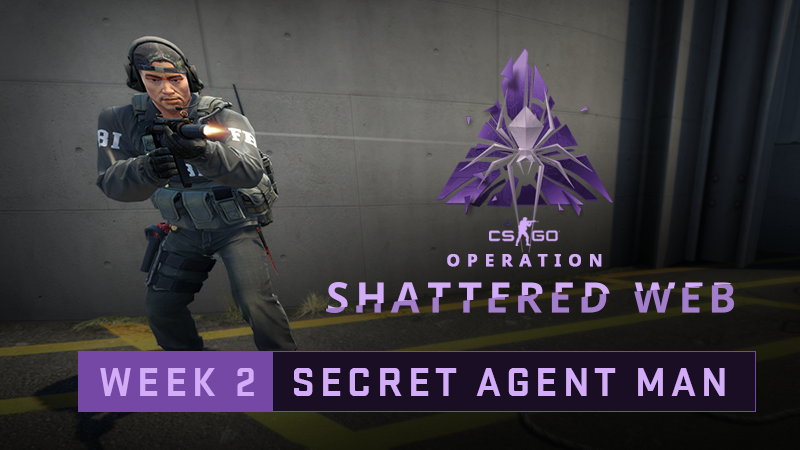 Csgo shattered web secret agent