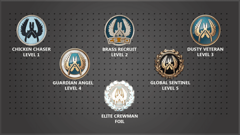 Csgo steam badges