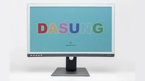 Dasung monitor