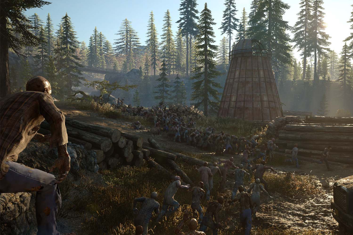 Days gone
