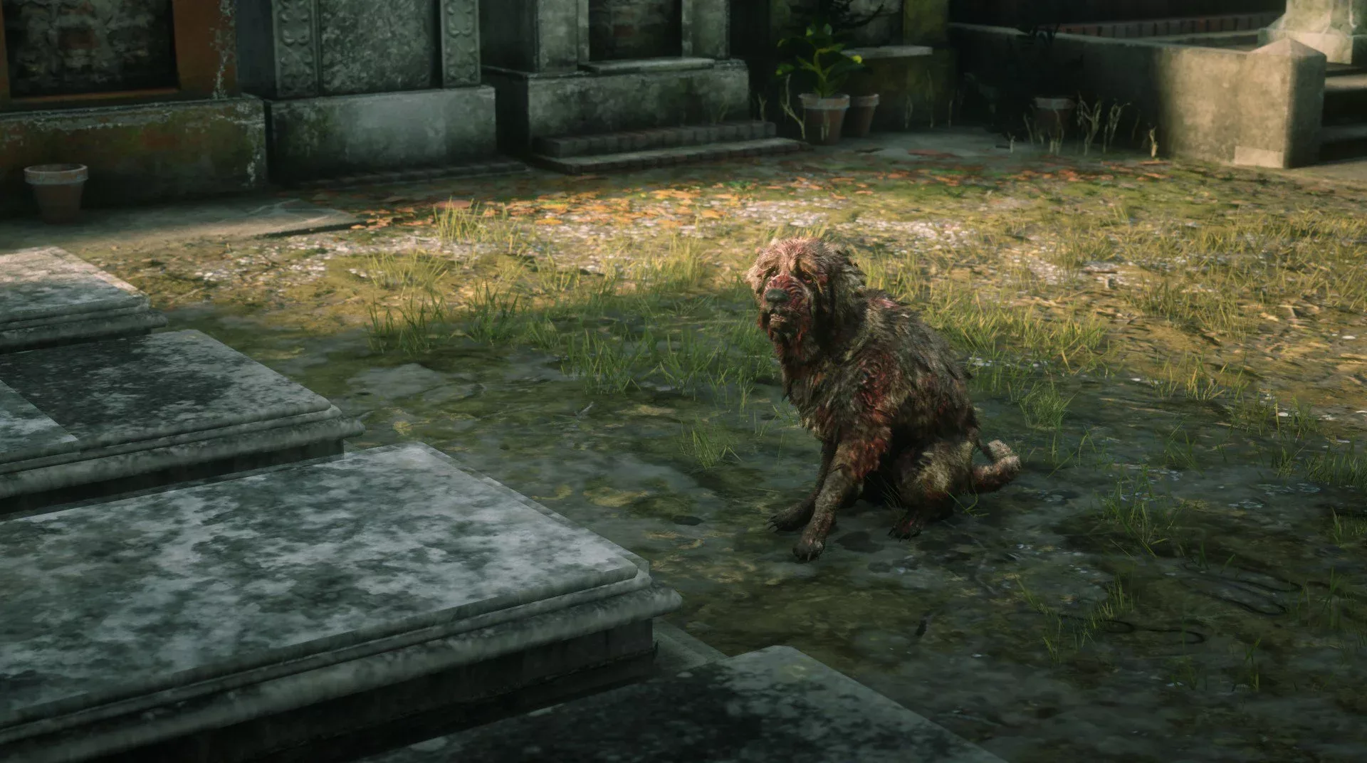 Dog RDR2 eater egg