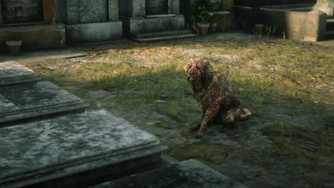 Dog RDR2 eater egg