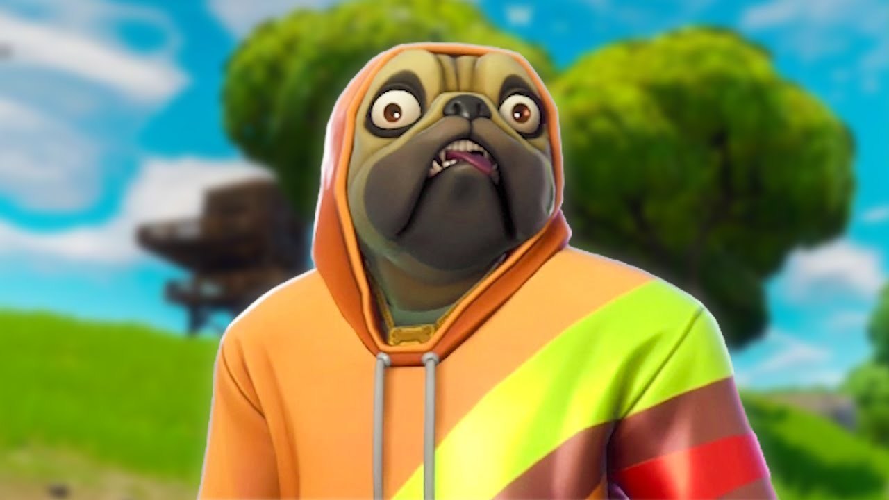 Doggo