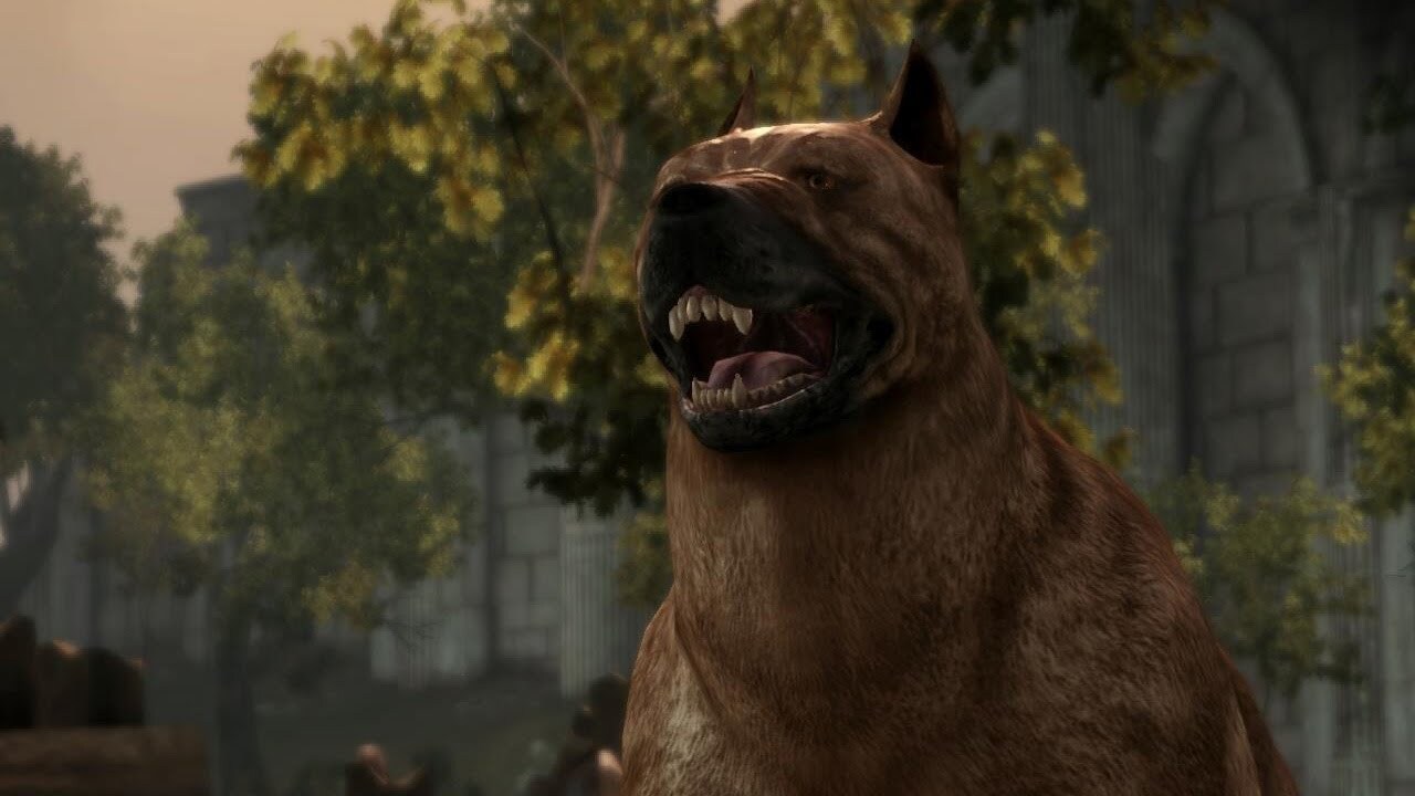 Dragon age origins mabari
