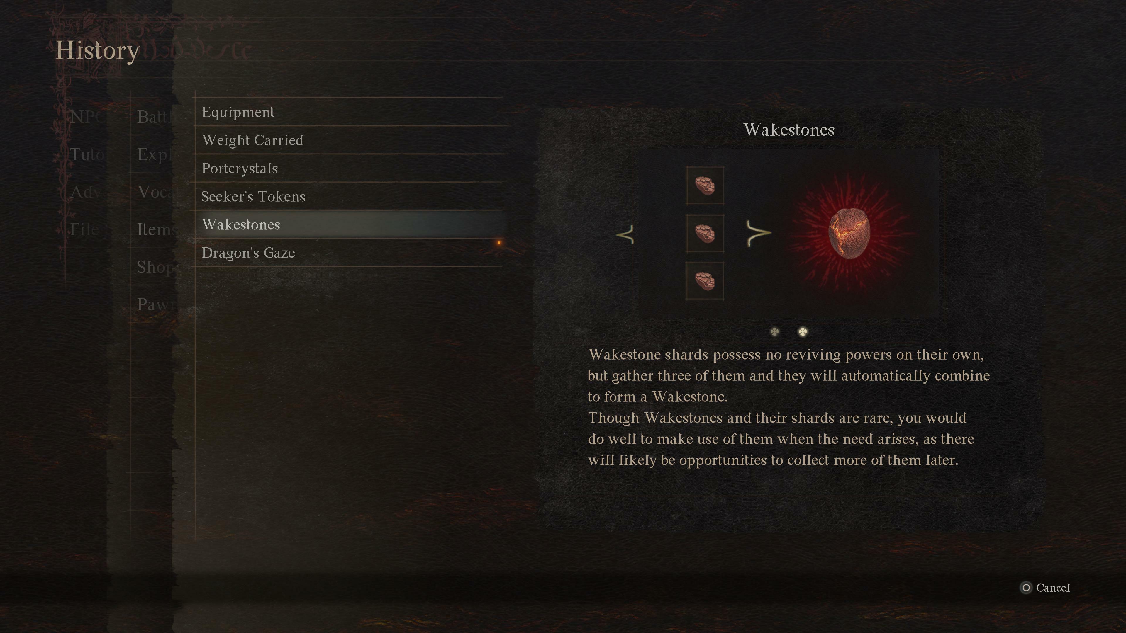 Dragons dogma 2 wakestone shards
