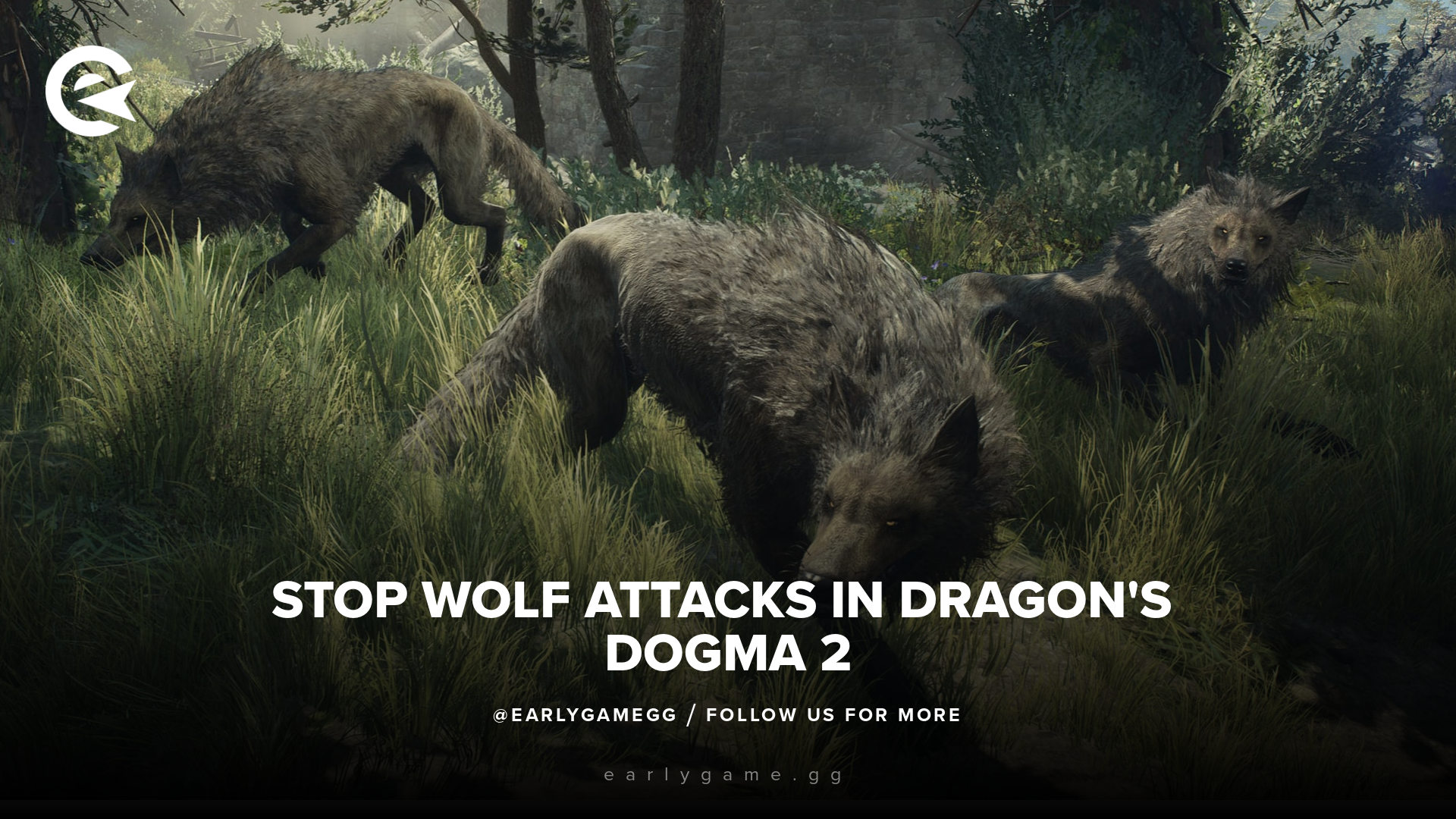 Dragons dogma 2 wolves