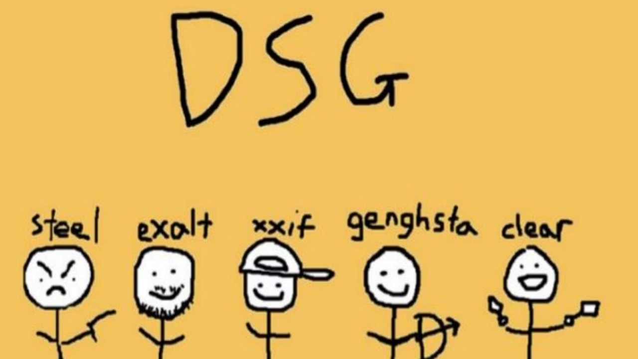 Dsg valorant vf