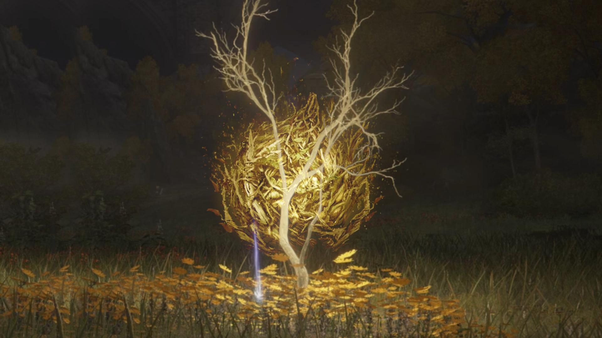 Elden ring golden seed