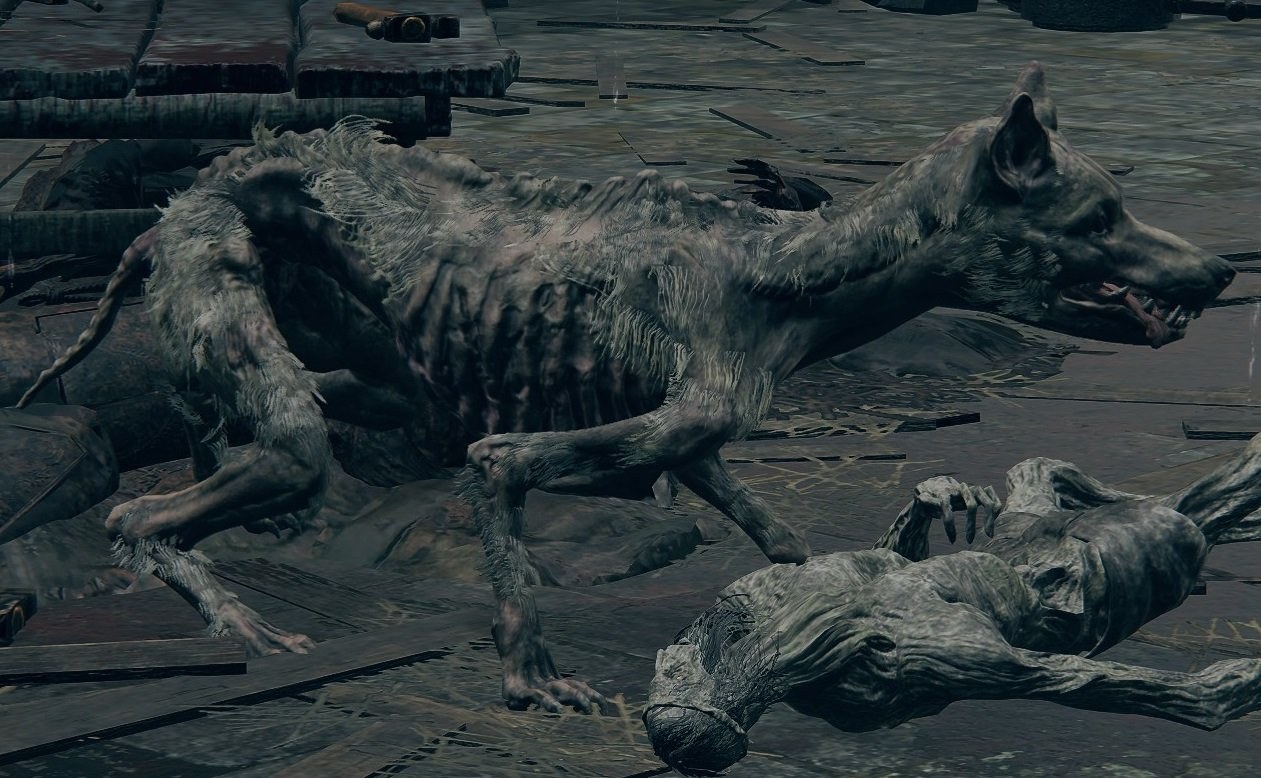 Elden ring rotten stray