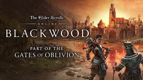 Elder scrolls online gates of oblivion steam banner