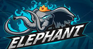 Elephant dota 2 china star team