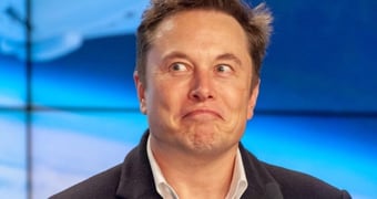 Elon musk neuralink monkey