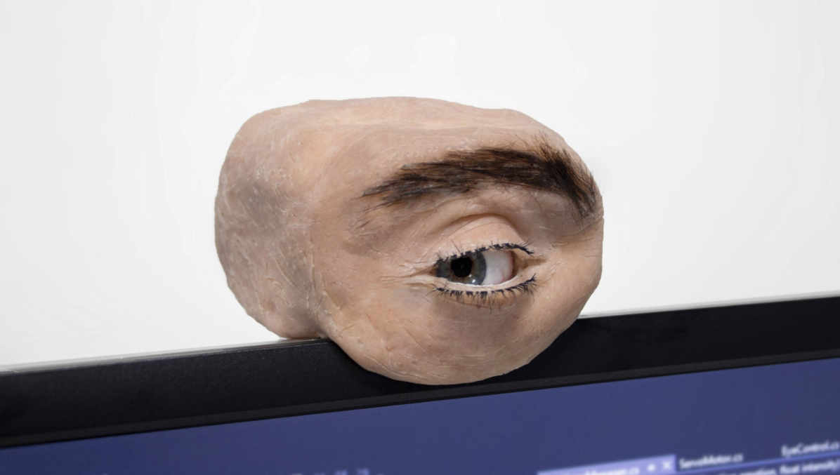 Eyecam webcamera