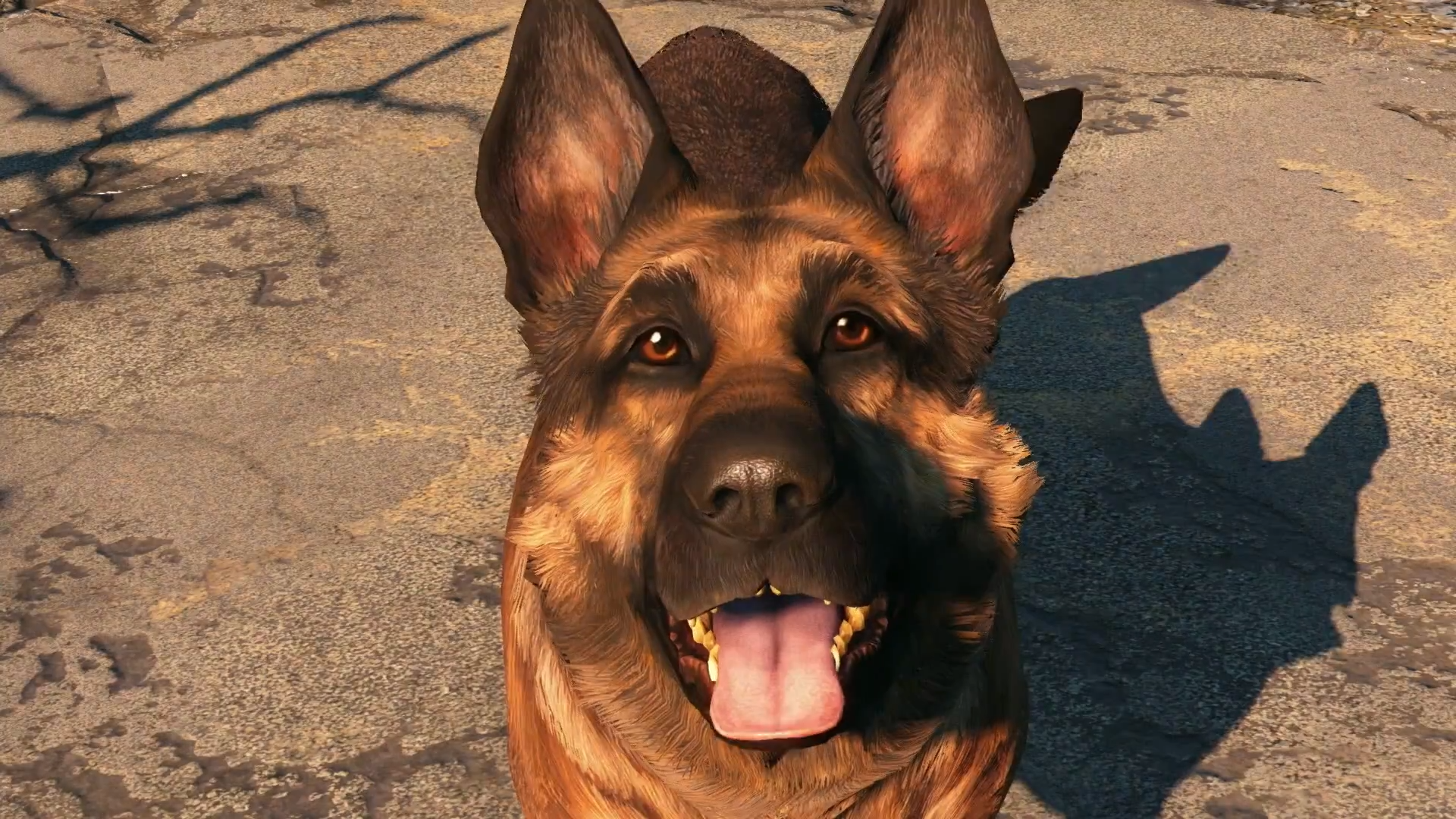 Fallout 4 dogmeat