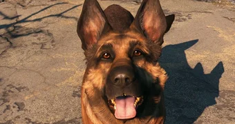 Fallout 4 dogmeat