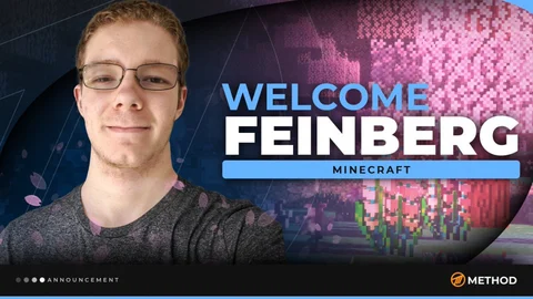 Feinberg minecraft ban twitch