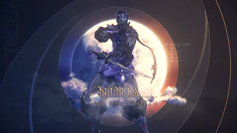 Ff114 ninja