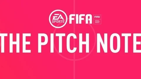 Fifa pitch notes