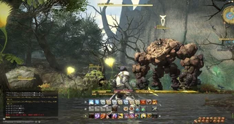 Final fantasy 14s