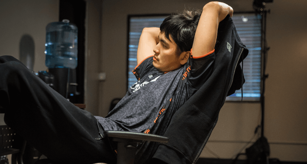 Fnatic dota summit 12 jpg