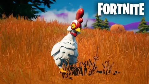 Fortnite chicken locations