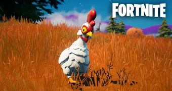 Fortnite chicken locations