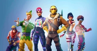 Fortnite how many skins