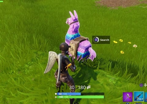 Fortnite lama