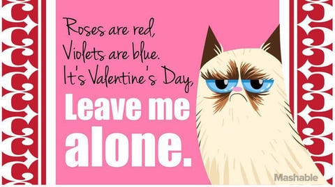 Games single valentines day grumpy cat