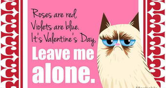 Games single valentines day grumpy cat