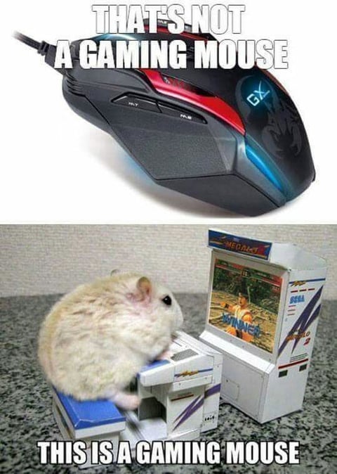 Gaming mouse meme