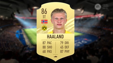 Haaland