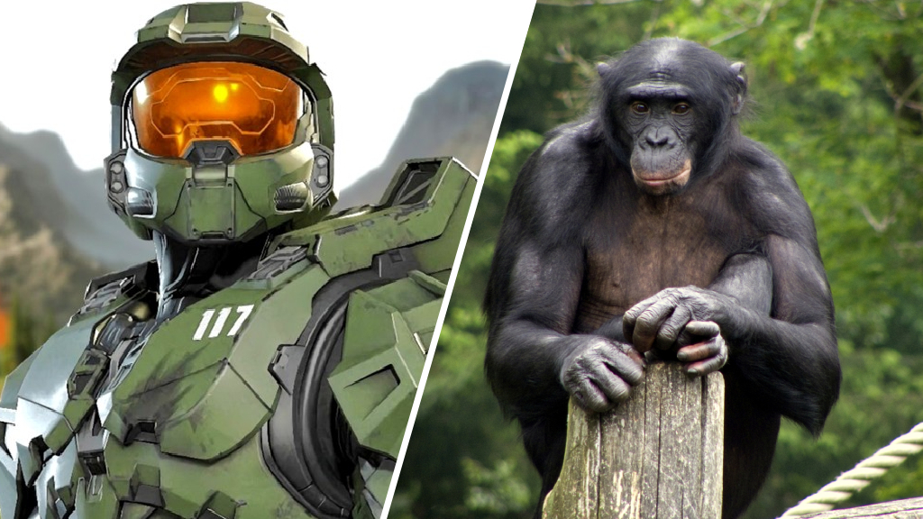 Halo accidentally racist