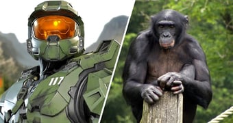 Halo accidentally racist