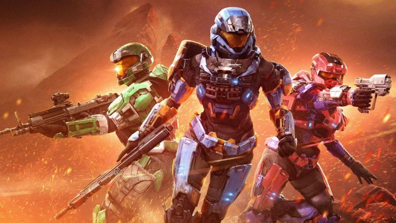 Halo infinite stats