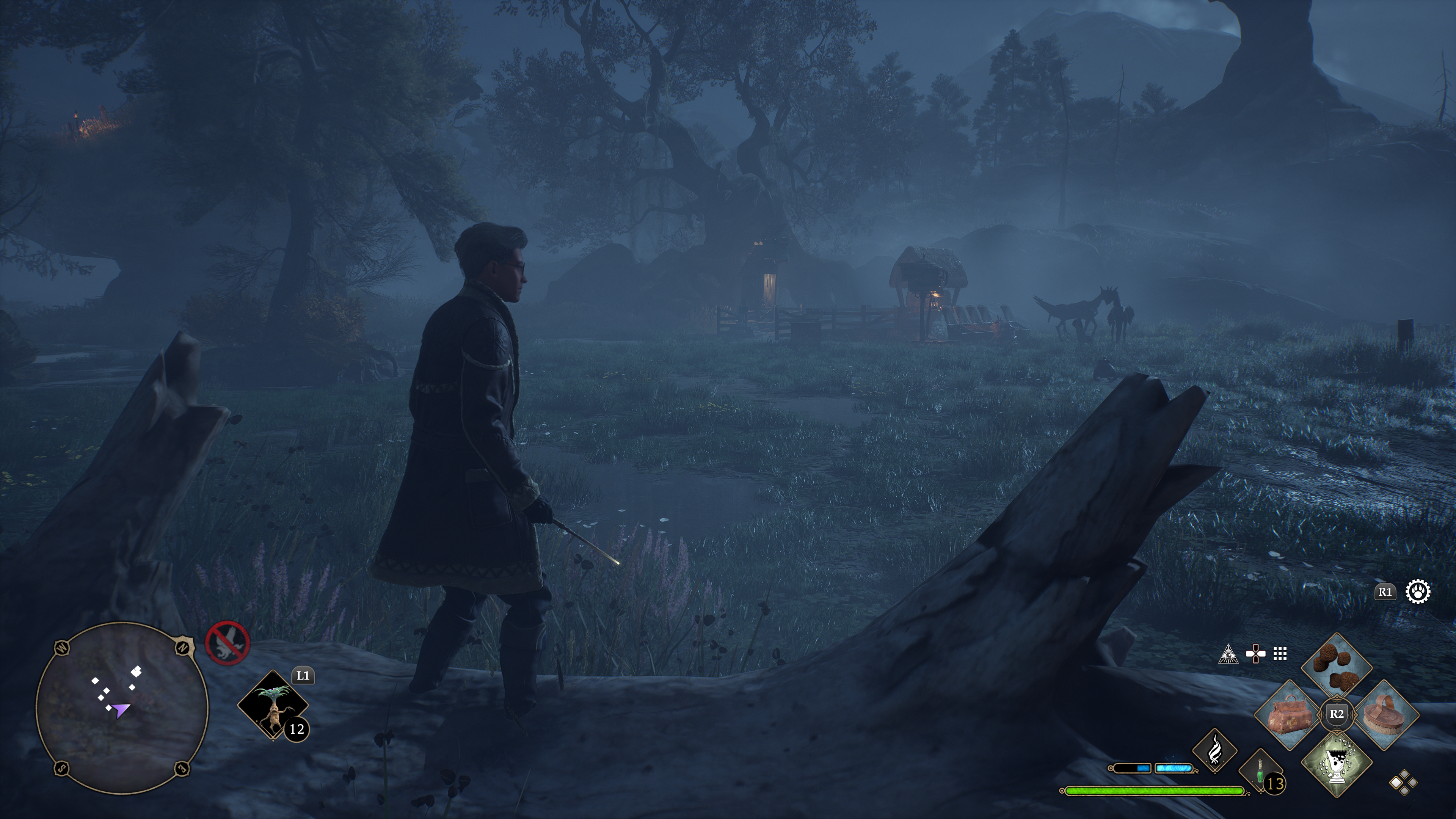 Hogwarts legacy swamp biome
