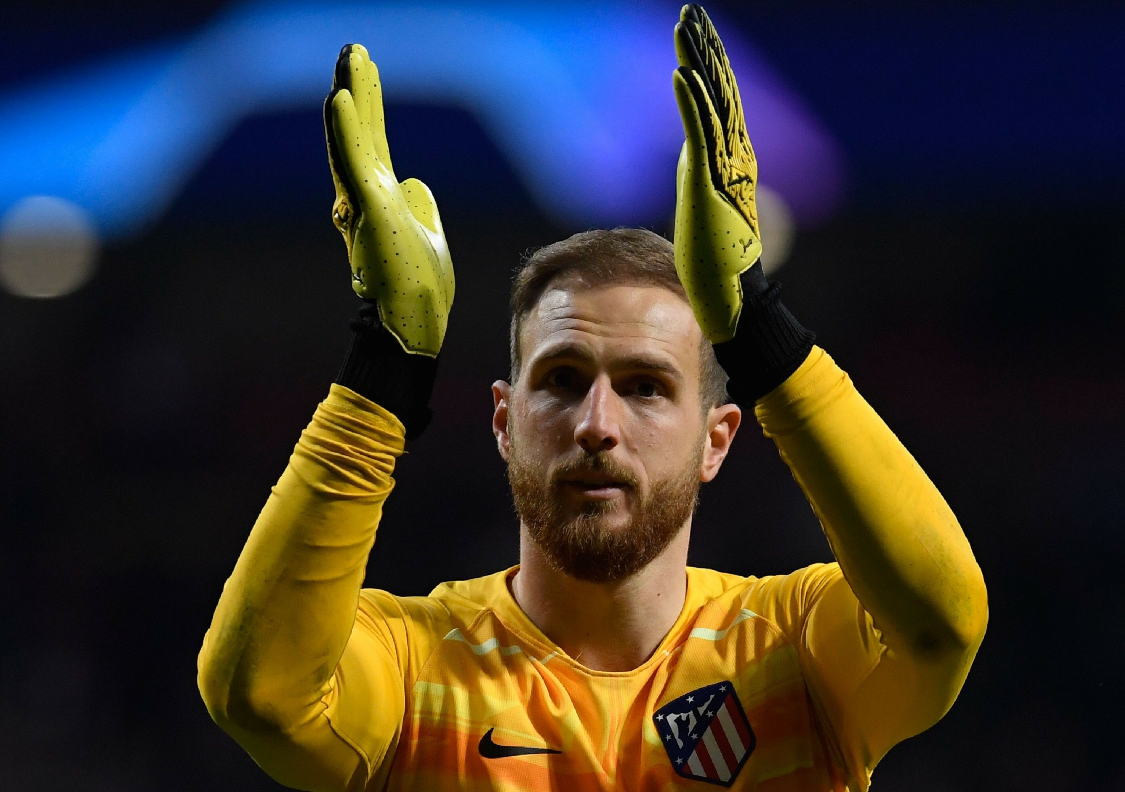 Jan oblak toty